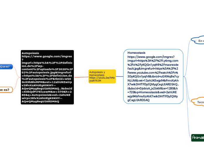 Autopoiesis y Homeostasis https://youtu.be/hMzjoaRTR3M