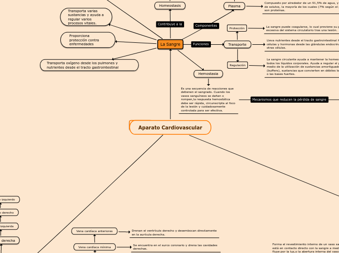 Aparato Cardiovascular - Mapa Mental