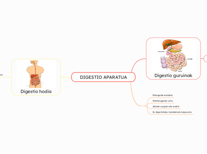 DIGESTIO APARATUA - Mind Map