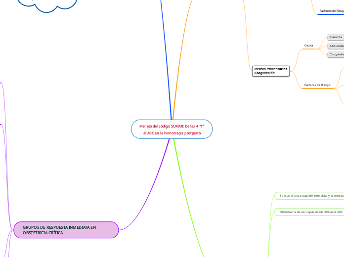 Manejo del código SUMAR: De las 4 “T”
a...- Mapa Mental
