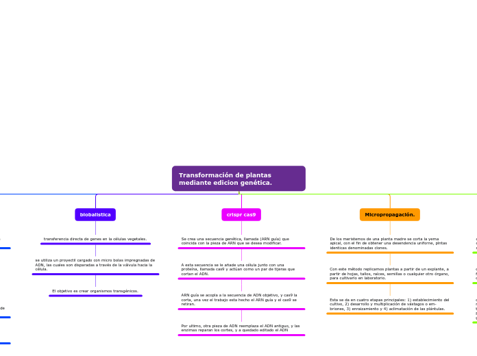 Transformación de plantas mediante edicion genética.