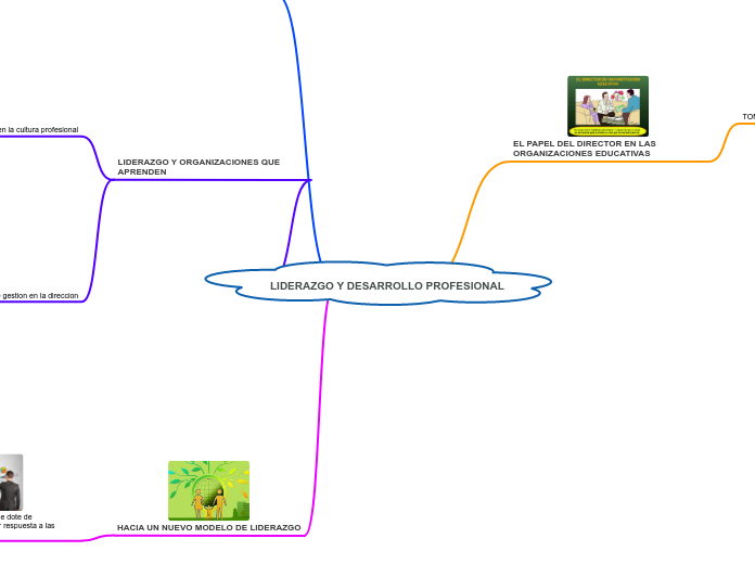 LIDERAZGO Y DESARROLLO PROFESIONAL - Mapa Mental