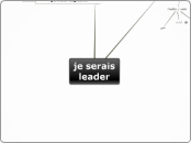 je serais leader - Carte Mentale