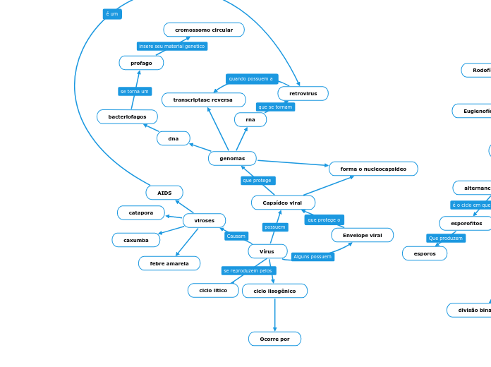 Vírus  - Mapa Mental