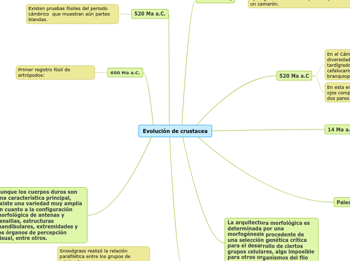 Evolución de crustacea