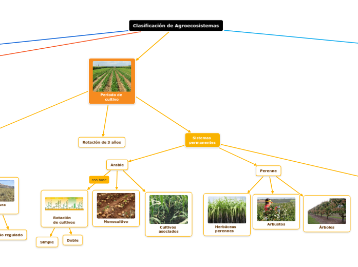 Clasificación de Agroecosistemas Clasificación de Agroecosistemas