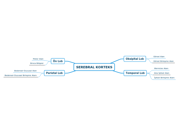 SEREBRAL KORTEKS - Mind Map