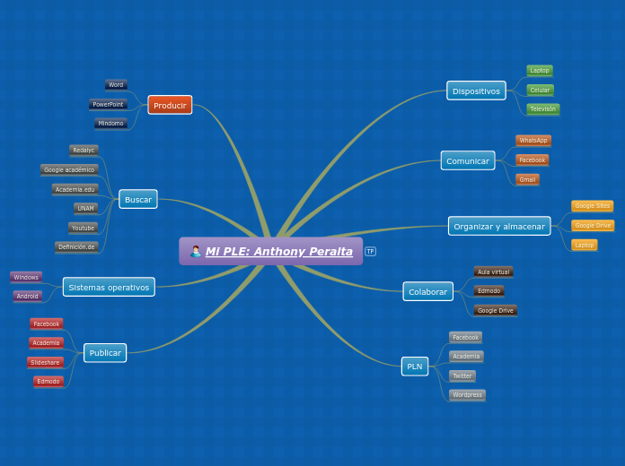 Mi PLE: Anthony Peralta - Mapa Mental