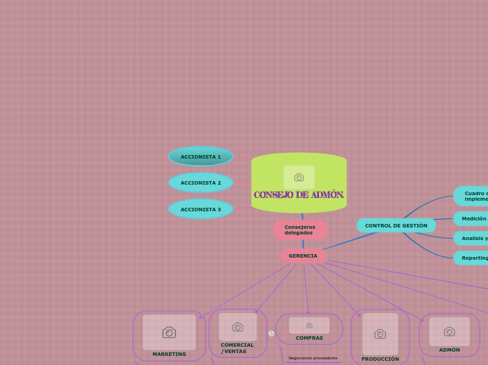 Consejo De Adm N Mind Map