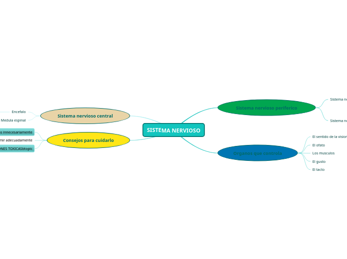 Sistema Nervioso Mind Map