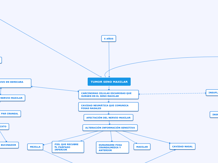 TUMOR SENO MAXILAR - Mapa Mental