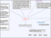 INFANCIA - Concept Map