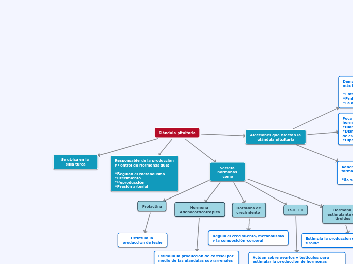 Glándula pituitaria - Mapa Mental