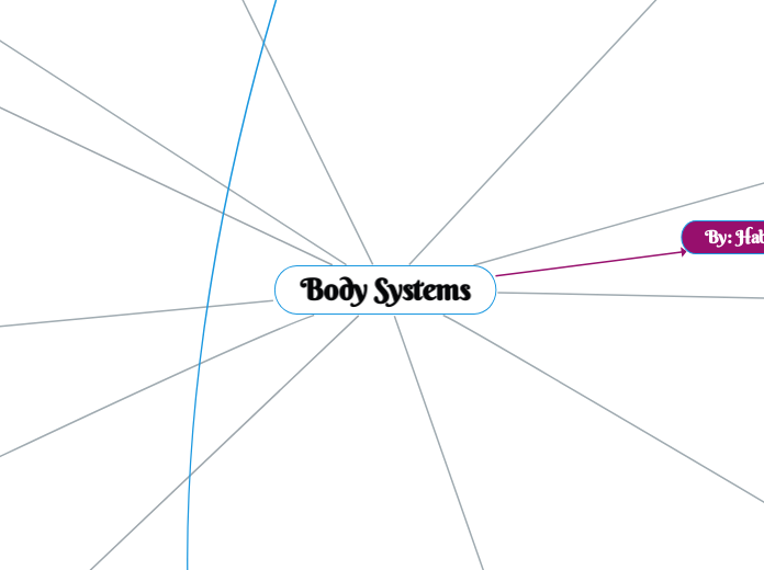 Body Systems - Mind Map
