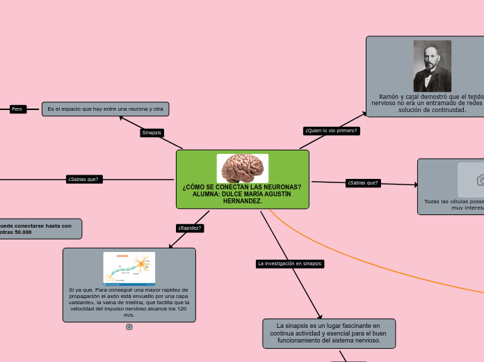 ¿CÓMO SE CONECTAN LAS NEURONAS? ALUMNA: DULCE MARÍA AGUSTÍN HERNANDEZ.