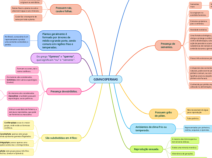 GIMNOSPERMAS - Mapa Mental