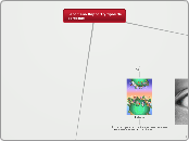 Fenomeno Rapport y tipos de personas - Mapa Mental