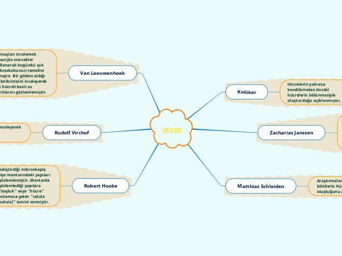 HÜCRE - Mind Map