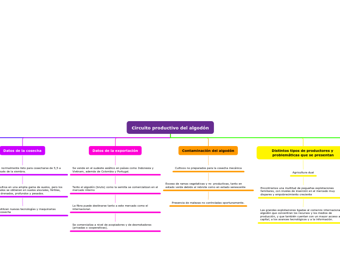 Circuito productivo del algodón - Mapa Mental