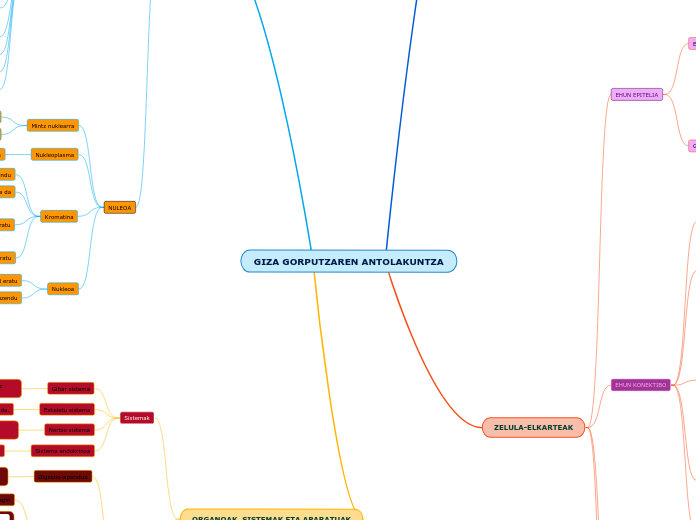 GIZA GORPUTZAREN ANTOLAKUNTZA - Mind Map