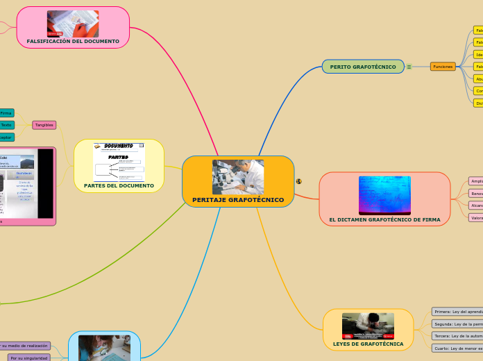 PERITAJE GRAFOTÉCNICO - Mapa Mental