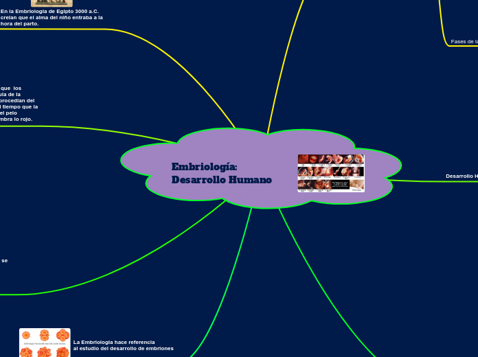 Embriología: Desarrollo Humano
