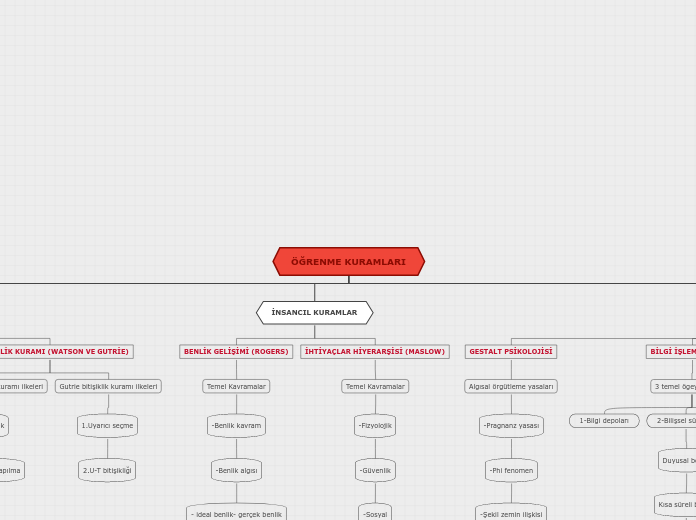 Organigram