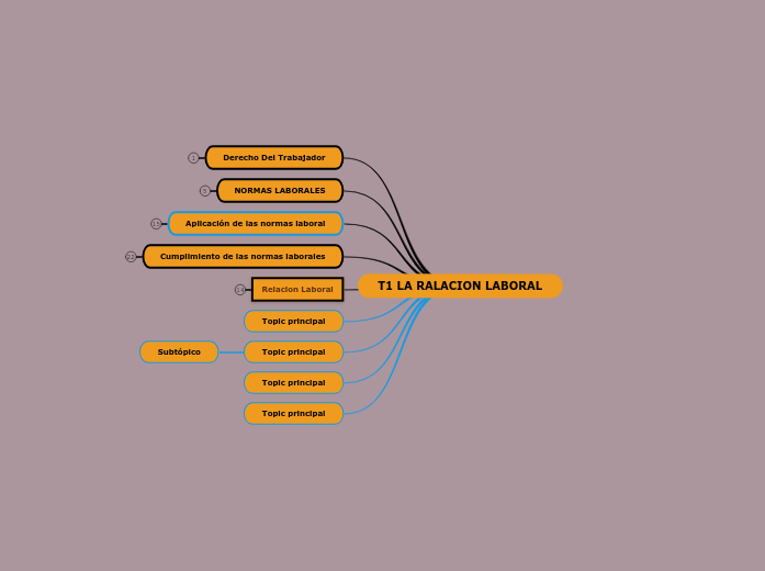 T1 LA RALACION LABORAL - Mapa Mental