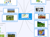 Le Pianure in Europa - Mappa Mentale