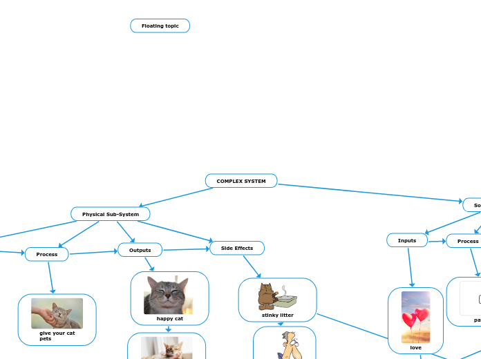 COMPLEX SYSTEM - Mind Map