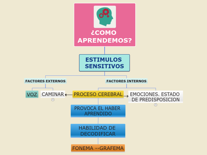 ¿COMO APRENDEMOS?