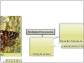 Ecological Succession - Mind Map