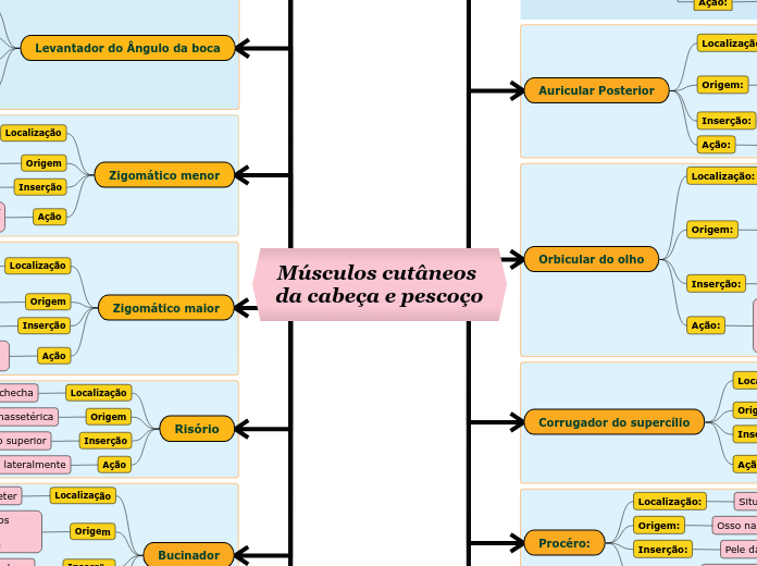 Músculos cutâneos da cabeça e pescoço