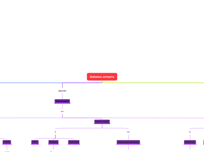 Sistema urinario - Mapa Mental