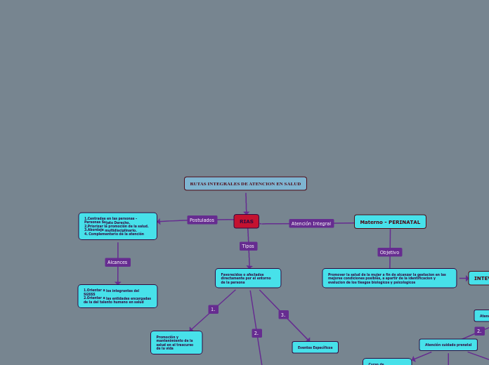 RUTAS INTEGRALES DE ATENCION EN SALUD - Mapa Mental