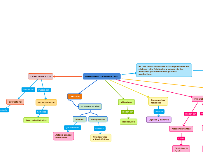 DIGESTION Y METABOLISCO - Mapa Mental