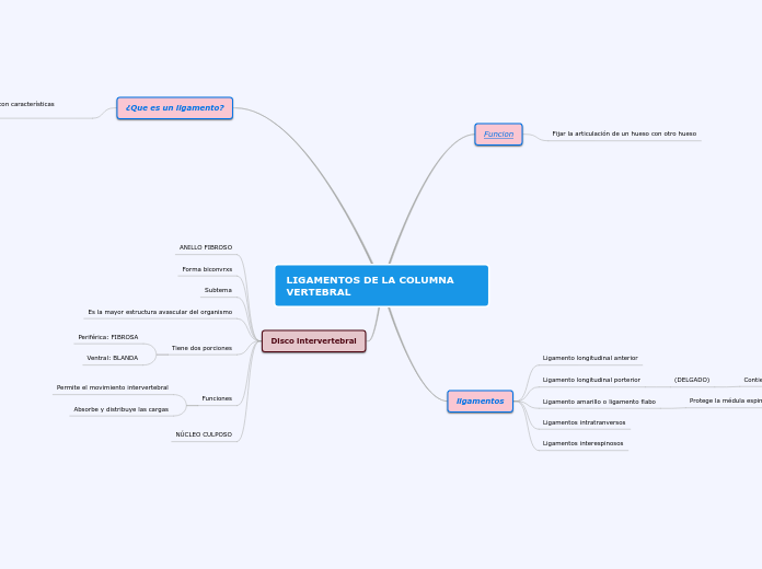 LIGAMENTOS DE LA COLUMNA VERTEBRAL - Mapa Mental