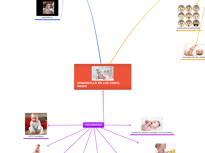 DESARROLLO EN LOS CINCO MESES - Mapa Mental