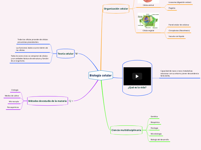 Biología celular - Mapa Mental