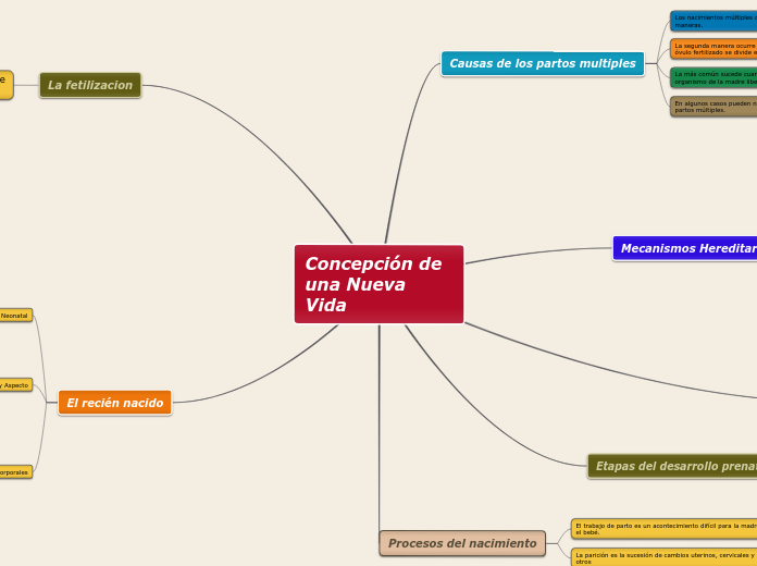 Concepción de una Nueva Vida