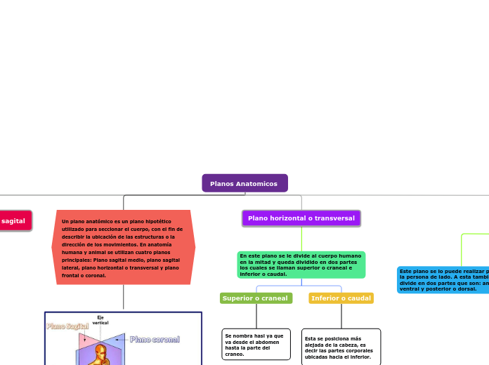 Planos Anatomicos 