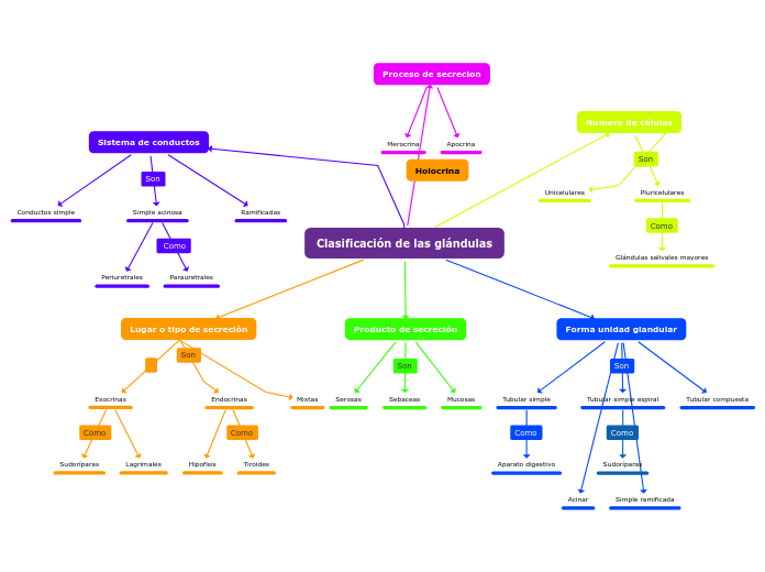 Clasificación de las glándulas - Mapa Mental