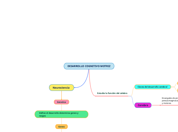 DESARROLLO COGNITIVO MOTRIZ