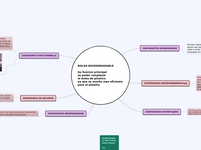BOLSA BIODEGRADABLE

Su funcion princip...- Mapa Mental