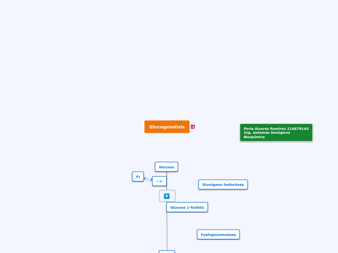 Glucogenolisis - Mapa Mental