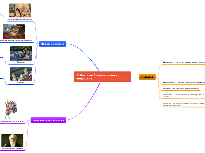 С.Лаврова Занимательная  медицин...- Мыслительная карта