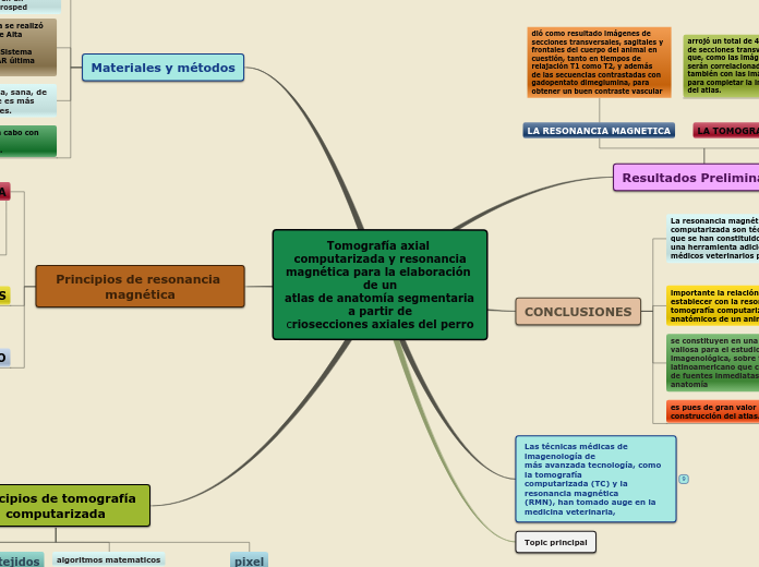 Tomografía axial computarizada y resona...- Mapa Mental