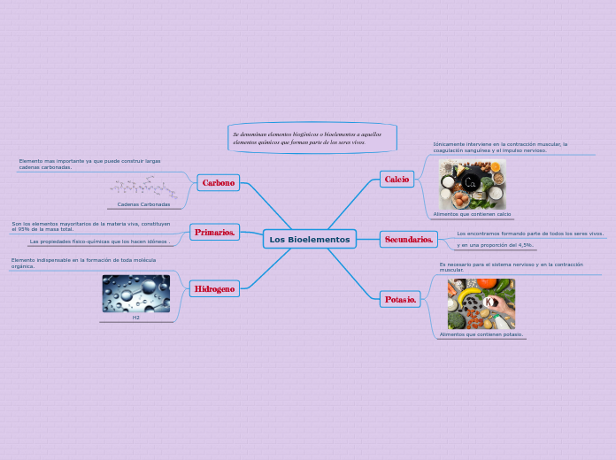 Los Bioelementos - Mapa Mental