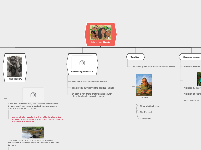 Organigrama arbol Organigrama arbol