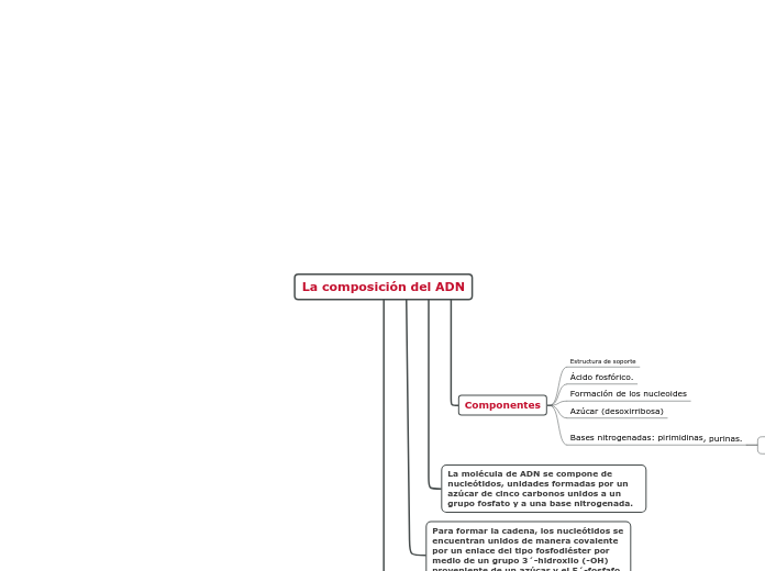 La composición del ADN